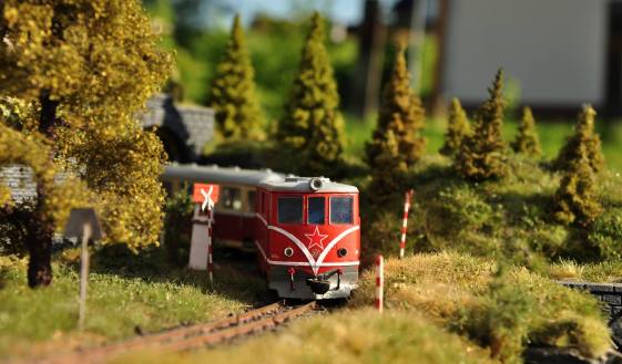 18814840_10208836766068150_4770655764964376460_o